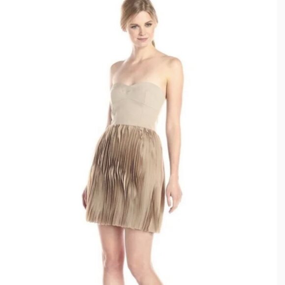 BCBGMaxAzria Angel Strapless Bustier Dress in Pumice - Picture 2 of 8